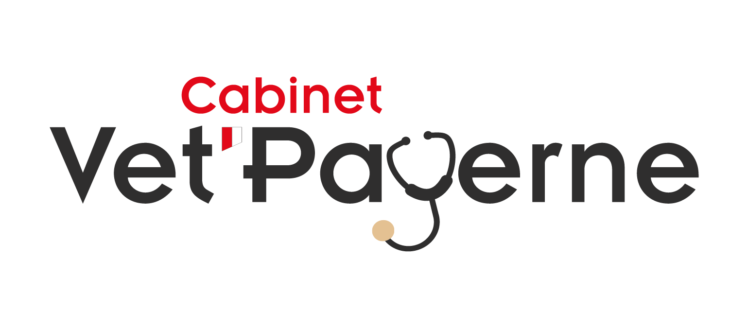 Vet payerne_t-shirt